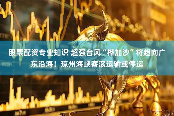 股票配资专业知识 超强台风“桦加沙”将趋向广东沿海！琼州海峡客滚运输或停运
